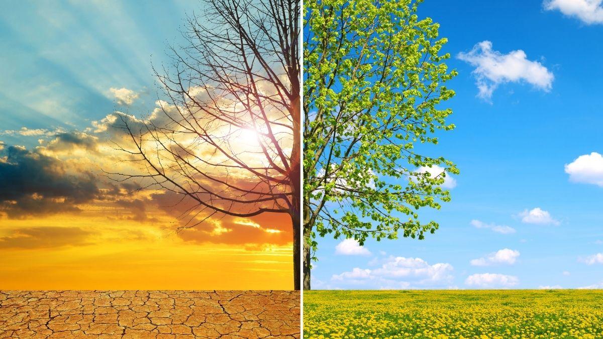 Día Mundial de la Acción frente al Calentamiento Terrestre: iniciativas para actuar contra el cambio climático