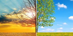 Día Mundial de la Acción frente al Calentamiento Terrestre: iniciativas para actuar contra el cambio climático