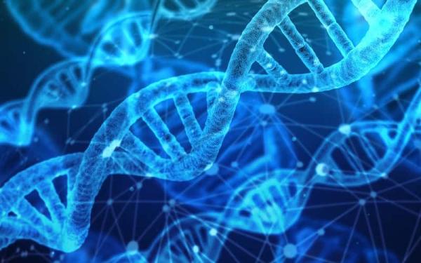 Las 7 teorías del origen de la vida - La teoría del ARN vS la teoría de las proteínas