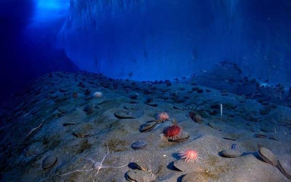 Las 7 teorías del origen de la vida - Teoría de las fuentes hidrotérmicas