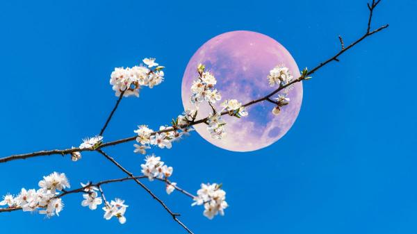 Luna de Flores 2026: cuándo será la primera luna llena de mayo, por qué se llama así y consejos para verla mejor