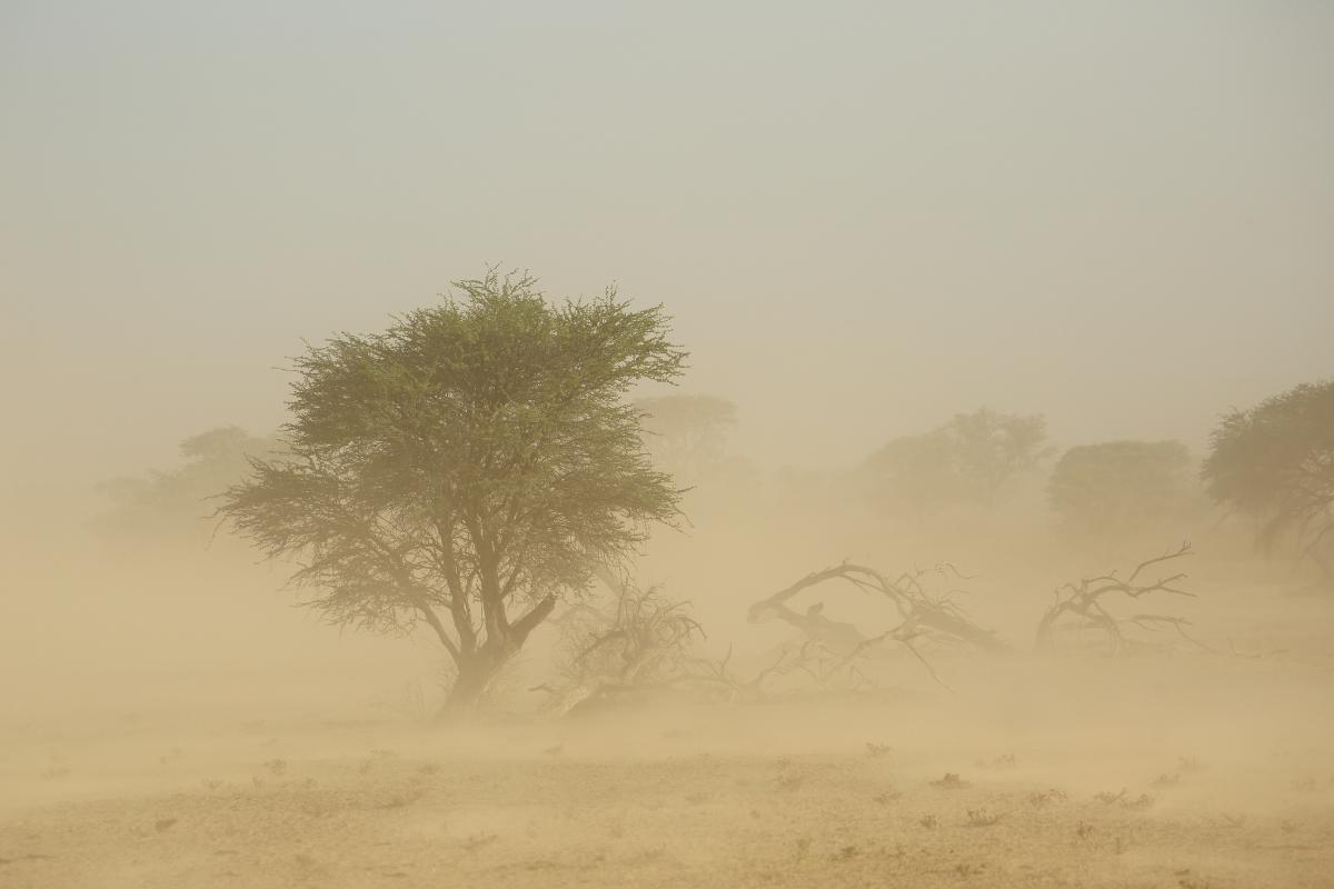 Litometeoros: qué son, tipos y ejemplos