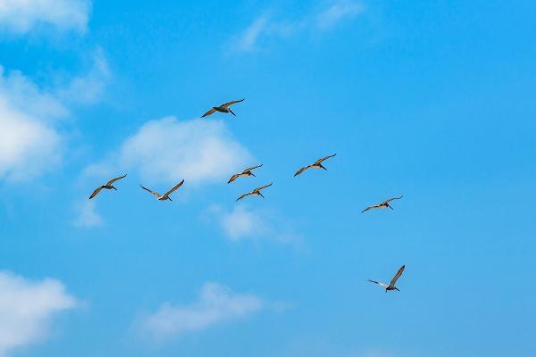 Aire: qué es, composición, funciones y contaminación - Funciones del aire