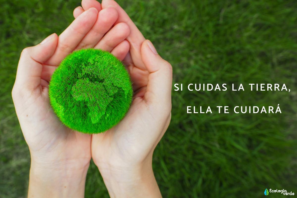 Frases del medio ambiente