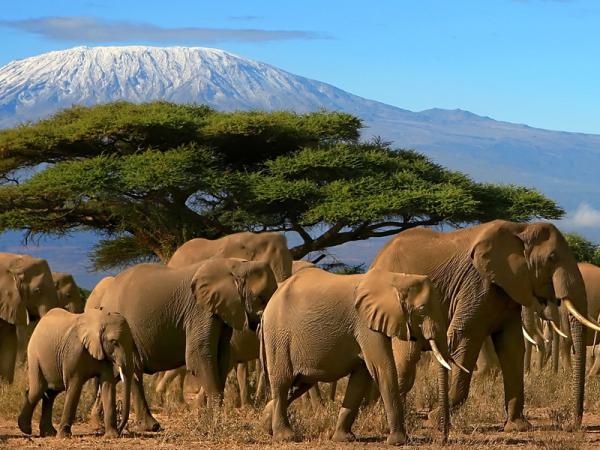 África - Continente Africano