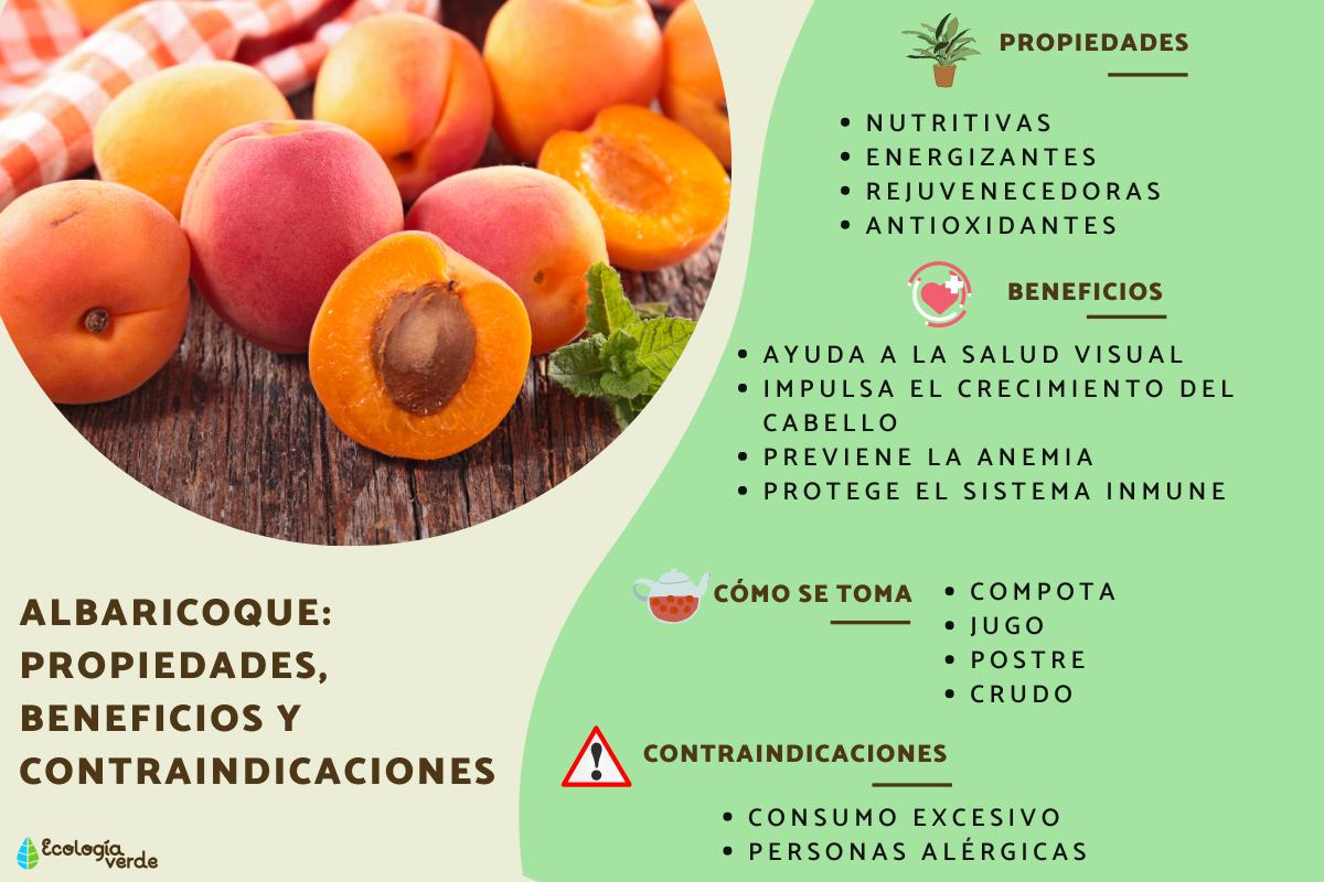 Albaricoque: propiedades, beneficios y contraindicaciones