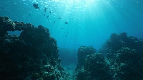 El cambio climático no solo calienta los océanos: está debilitando una conexión entre el Pacífico y el Índico que funcionaba desde hace siglos