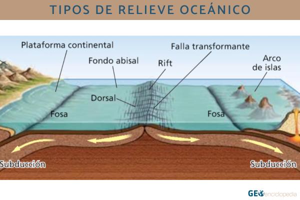 Tipos de relieve y sus características - Tipos de relieve oceánico