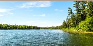 Aguas continentales: qué son, tipos, características, distribución y dinámica