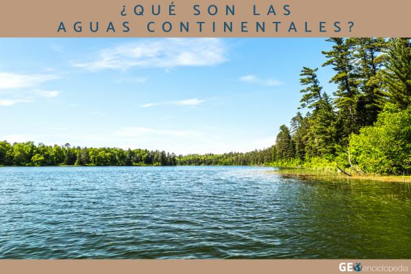 Aguas continentales: qué son, tipos, características, distribución y dinámica