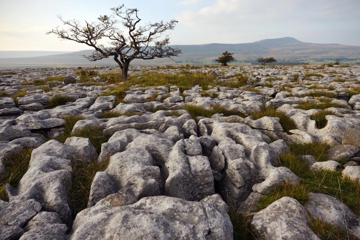 Lapiaces o lenares: qué son, cómo se forman, tipos y dónde hay