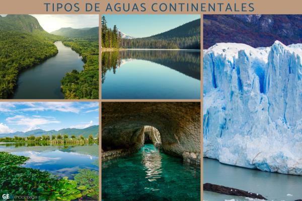 Aguas continentales: qué son, tipos, características, distribución y dinámica - Tipos de aguas continentales 
