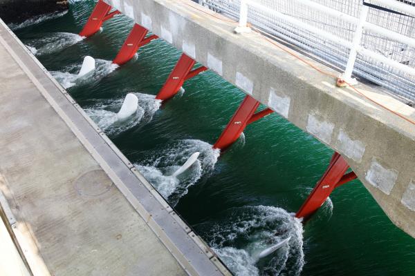 Energía mareomotriz: qué es, cómo funciona y ventajas - Ventajas de la energía mareomotriz