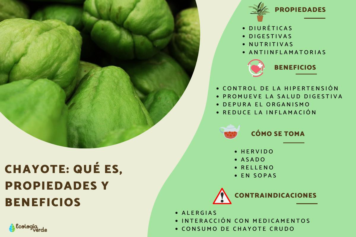 Chayote: qué es, propiedades y beneficios
