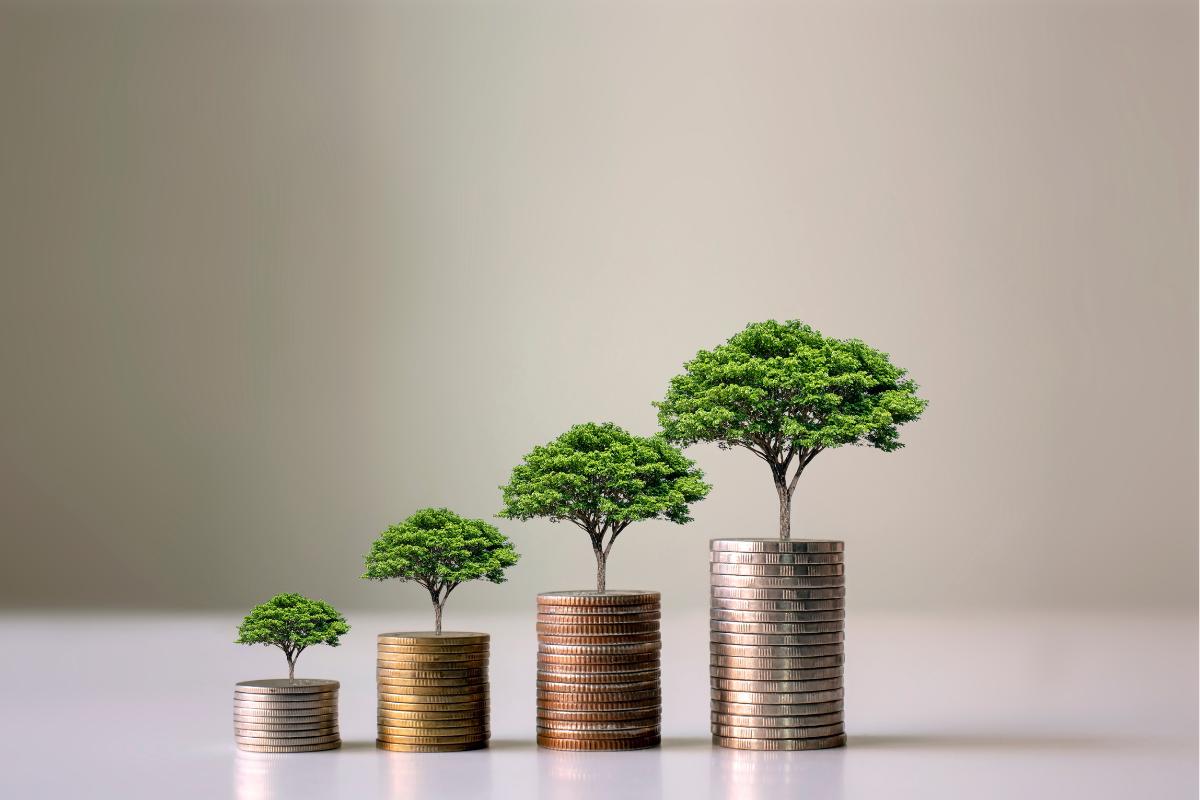 Economía verde: qué es y objetivos