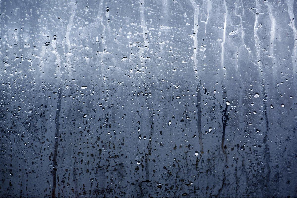 Humedad relativa: qué es, cómo se mide y valores normales