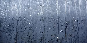 Humedad relativa: qué es, cómo se mide y valores normales