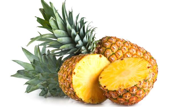 Piña - Reproducción y variedades de la Piña