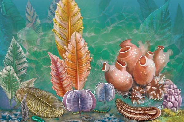 Precámbrico: qué es, división y características - Qué es el Precámbrico y el origen de la vida 