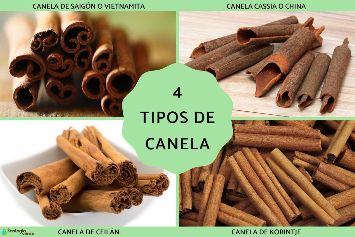 Tipos de canela