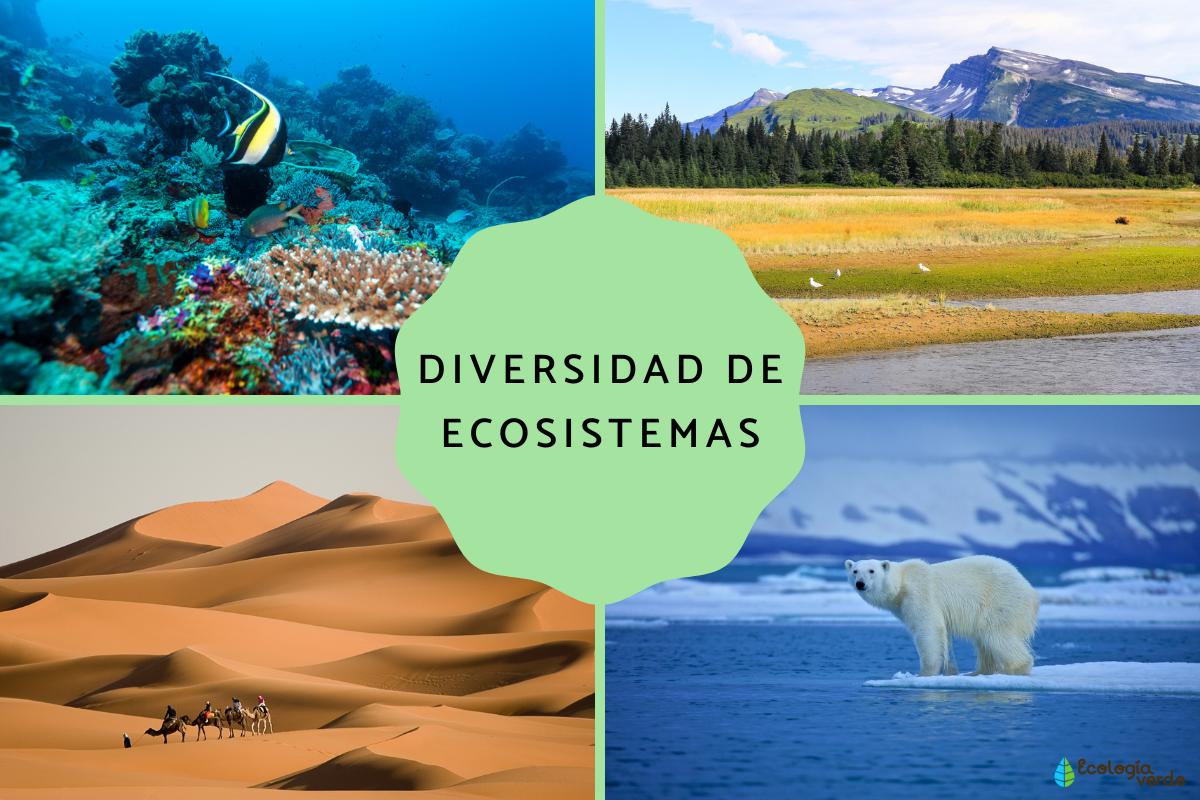 Diversidad de ecosistemas: qué es y ejemplos
