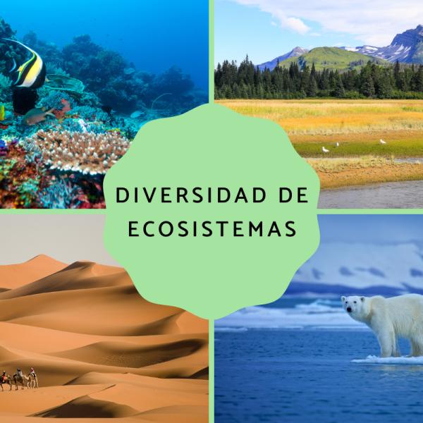 ejemplos de ecosistemas naturales