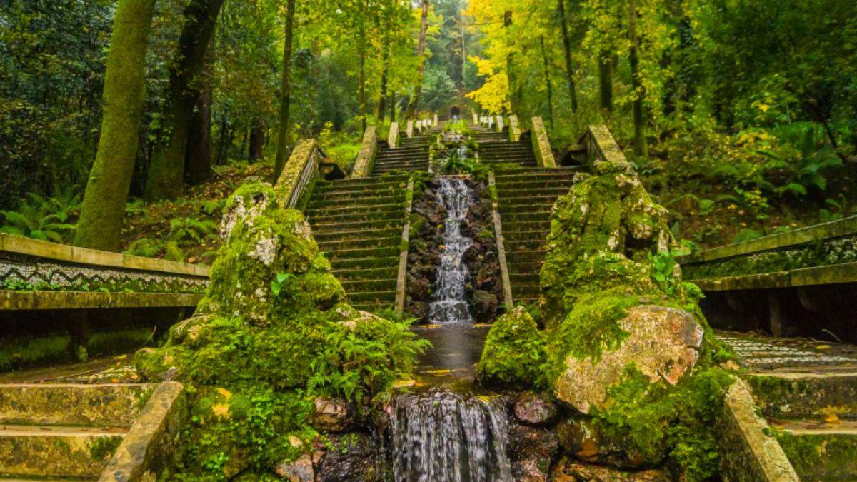 El primer bosque terapéutico de la Península Ibérica está en Portugal: qué lo hace tan especial