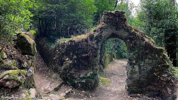 El primer bosque terapéutico de la Península Ibérica está en Portugal: qué lo hace tan especial - Qué significa que un bosque sea terapéutico
