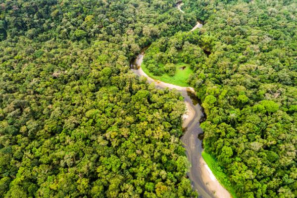 Las maravillas naturales del mundo - Amazonas