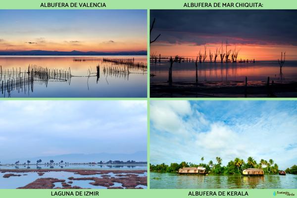 Qu es una albufera c mo se forma - Que Ejemplos De Albuferas En El Mundo Hay 5417 2 600