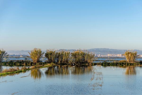 Qué es una albufera, cómo se forma y ejemplos - ¿Qué es una albufera?