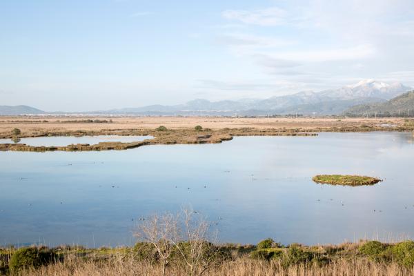 Qué es una albufera, cómo se forma y ejemplos - ¿Qué funciones ecológicas tiene una albufera?