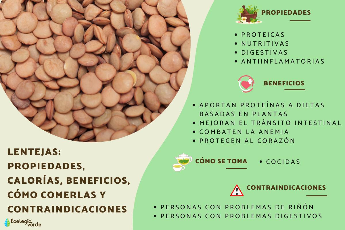 Lentejas: propiedades, calorías, beneficios, cómo comerlas y contraindicaciones