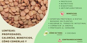 Lentejas: propiedades, calorías, beneficios, cómo comerlas y contraindicaciones