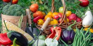Qué plantar en mayo en el huerto en España: calendario, plantas y tareas importantes