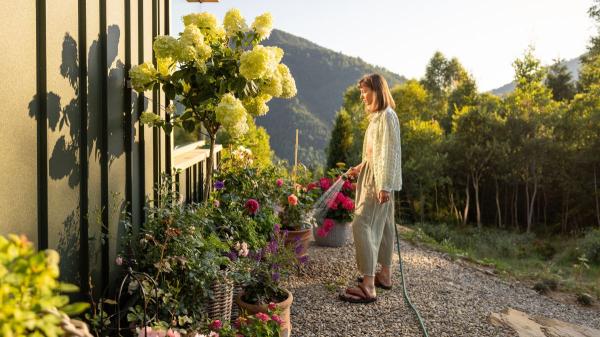 Los jardineros lo tienen claro: ni al mediodía ni por la noche, esta es la mejor hora para regar las plantas en verano - La mejor hora del día para regar las plantas en verano