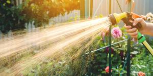 Los jardineros lo tienen claro: ni al mediodía ni por la noche, esta es la mejor hora para regar las plantas en verano