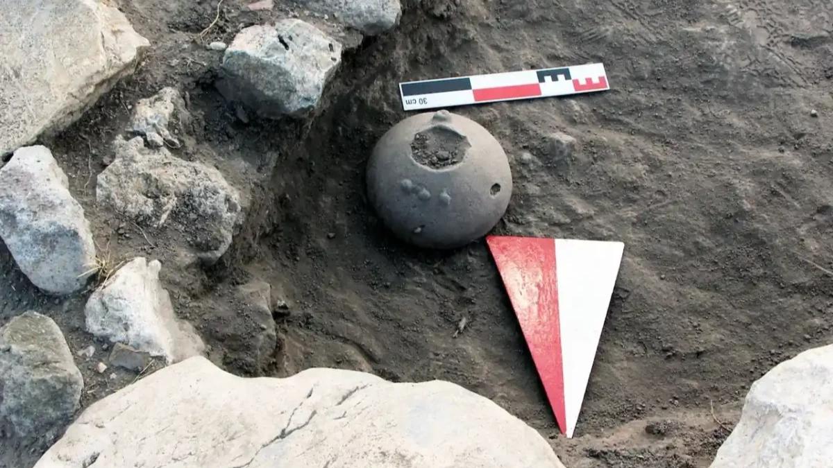 Descubren en una vasija hitita de 4.000 años las semillas de una flor que hoy solo crece en un rincón de Ankara