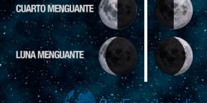 Infografía Fases de la Luna