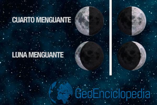Infografía Fases de la Luna