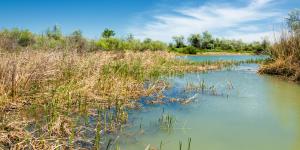 Efluentes: qué son y características