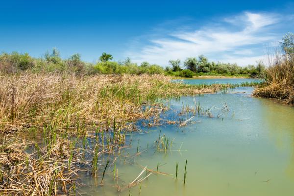 Efluentes: qué son y características