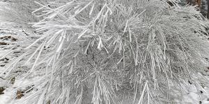 Cencellada: qué es, cómo se forma y tipos