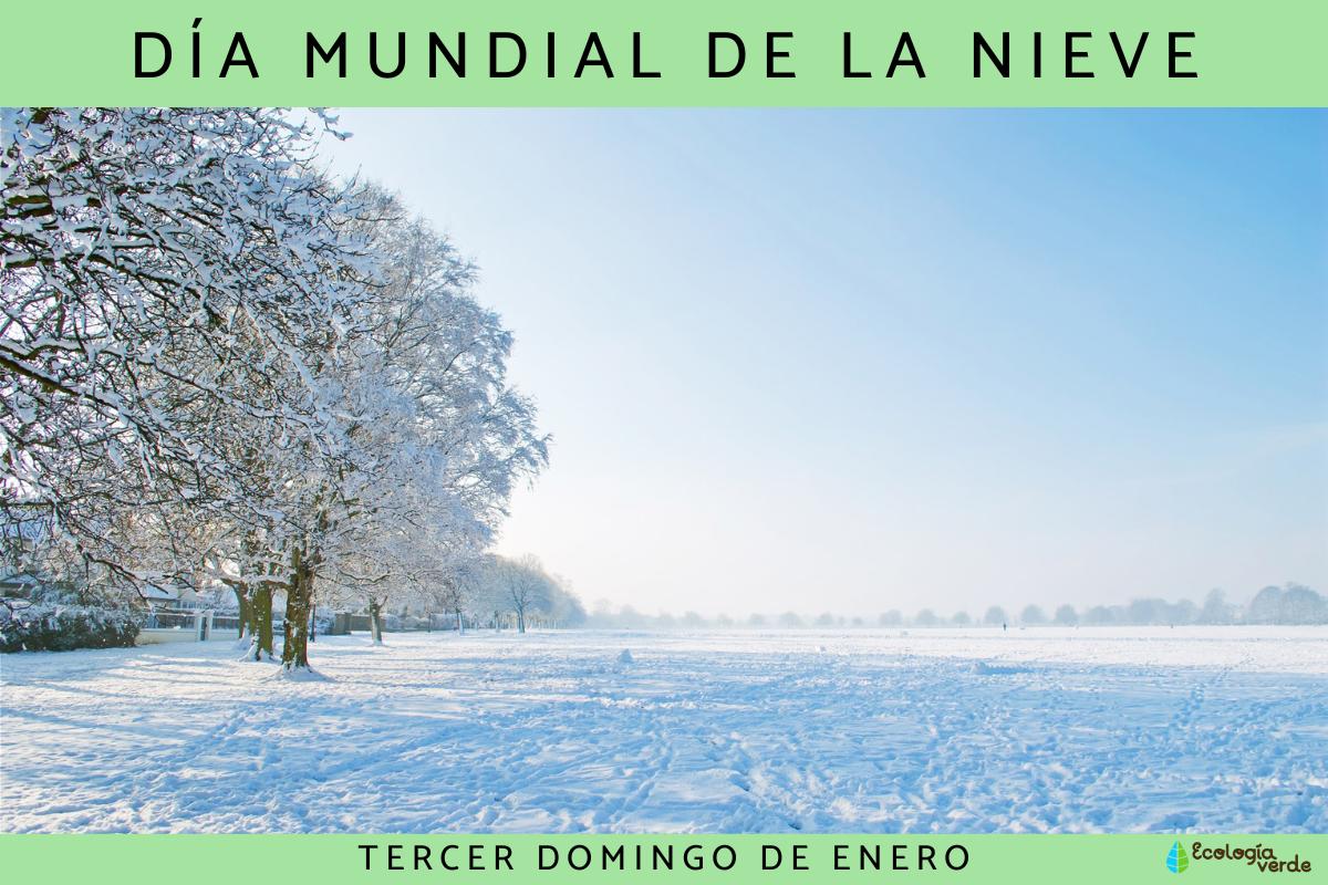 Día Mundial de la Nieve: cuándo es y por qué se celebra