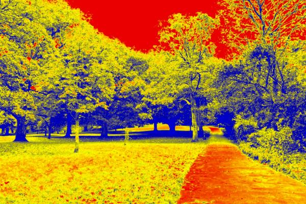 Rayos infrarrojos: qué son, características y para qué sirven - Características de los rayos infrarrojos