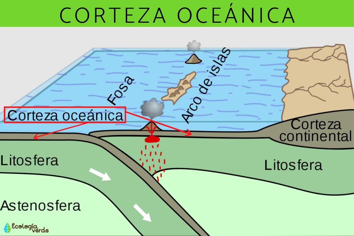 Corteza oceánica: qué es y características