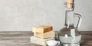 Cómo eliminar pulgones con vinagre y jabón: por qué esta mezcla es efectiva y cómo aplicarla