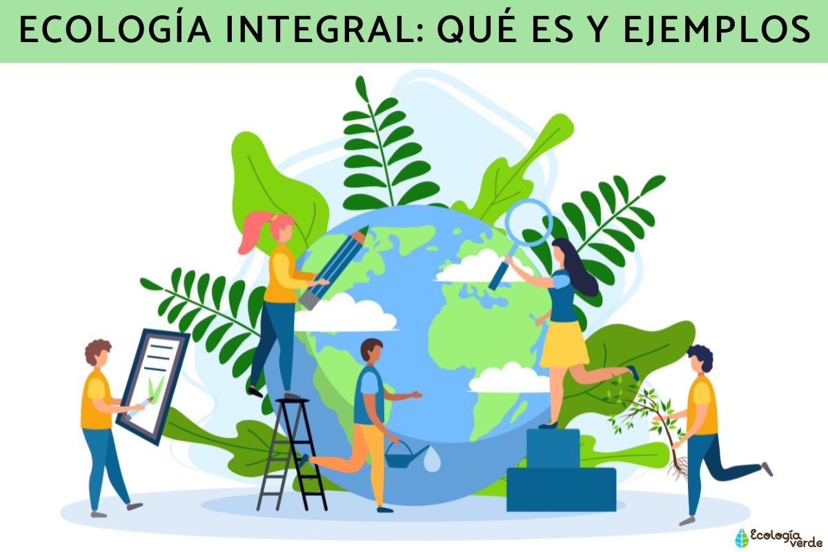 Ecología integral: qué es y ejemplos