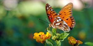 Niveles de organización de la materia