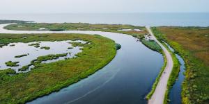 Delta: qué es, cómo se forma, tipos y ejemplos